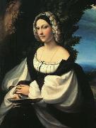 Portrait of a Gentlewoman df CORNELISZ VAN OOSTSANEN, Jacob